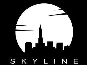 Ethical hacking company providing advanced cybersecurity services – Skyline Tech